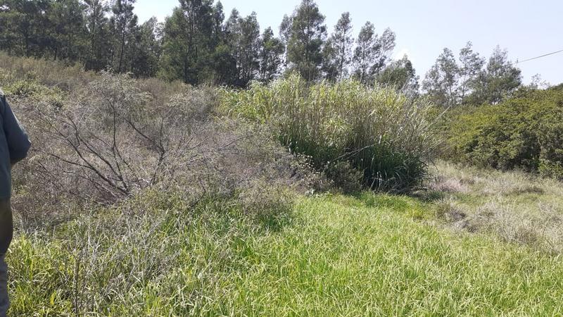 0 Bedroom Property for Sale in Albertinia Western Cape